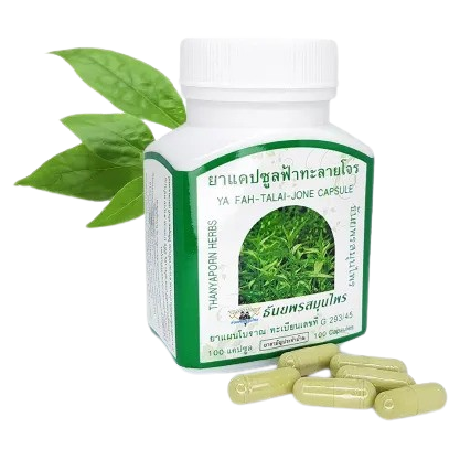 Thanyaporn Herbs - Fah-Talai-Jone Andrographis Paniculata - Thai Natural Capsules for Colds - Antibiotics Replacement - 100 Capsules - Made in Thailand