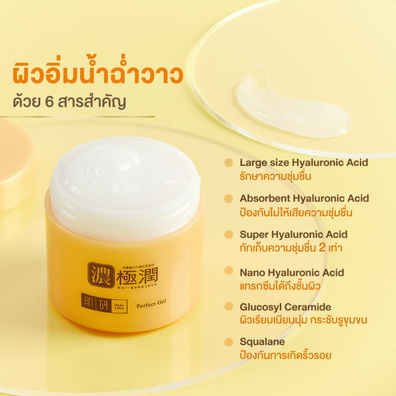 Hada Labo - Deep Hydration - Hydrating Perfect Gel 80g.