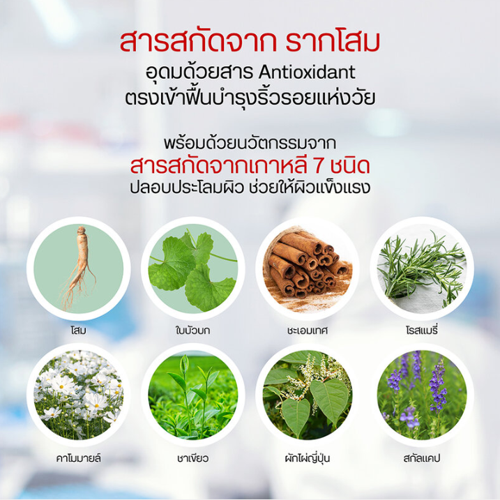 Yoko - Ginseng Anti-Aging Cream 25ml.