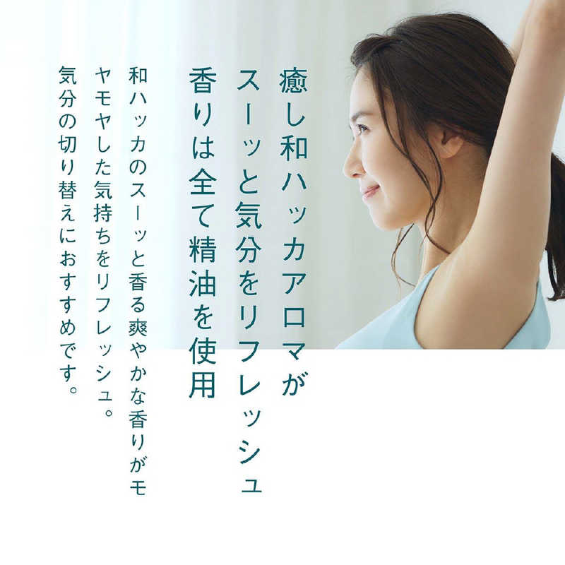 Cosmetex Roland - Junsohada - Medicated Japanese Spa & Aroma Mint Water Mist 250ml.