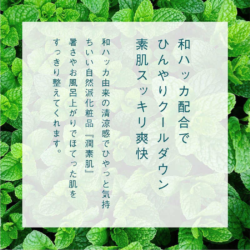 Cosmetex Roland - Junsohada - Medicated Japanese Spa & Aroma Mint Water Mist 250ml.