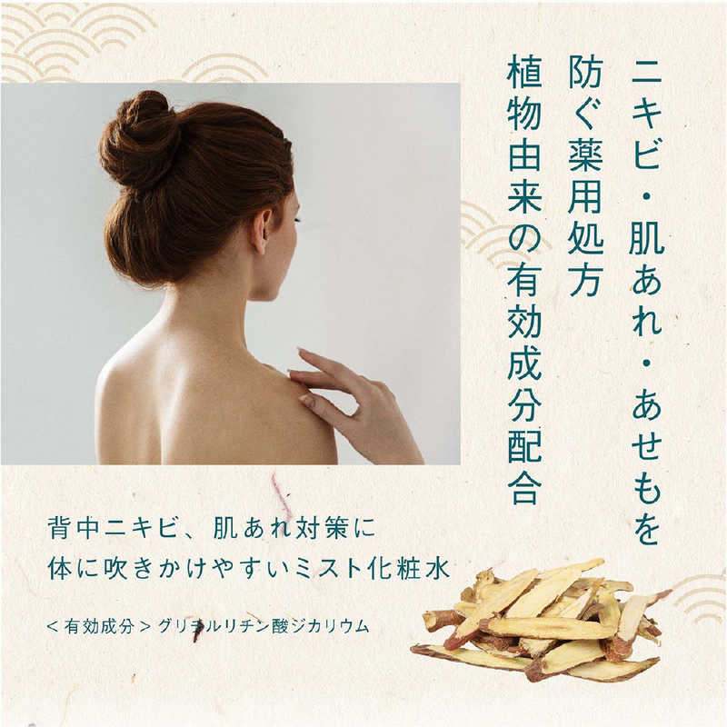 Cosmetex Roland - Junsohada - Medicated Japanese Spa & Aroma Mint Water Mist 250ml.