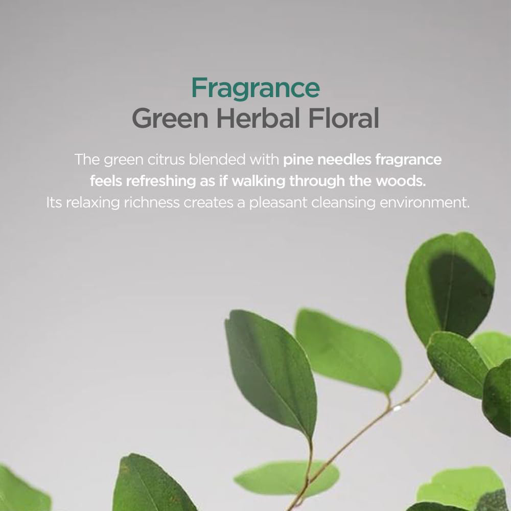 Amorepacific - AYUNCHE - Rebalancing Fresh Shampoo 350g.