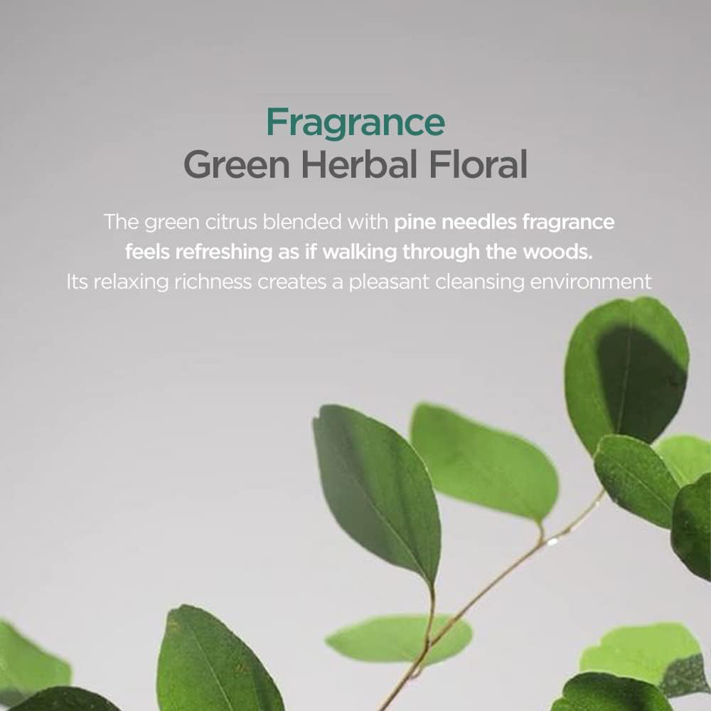 Amorepacific - AYUNCHE - Rebalancing Scalp Mask 200ml.