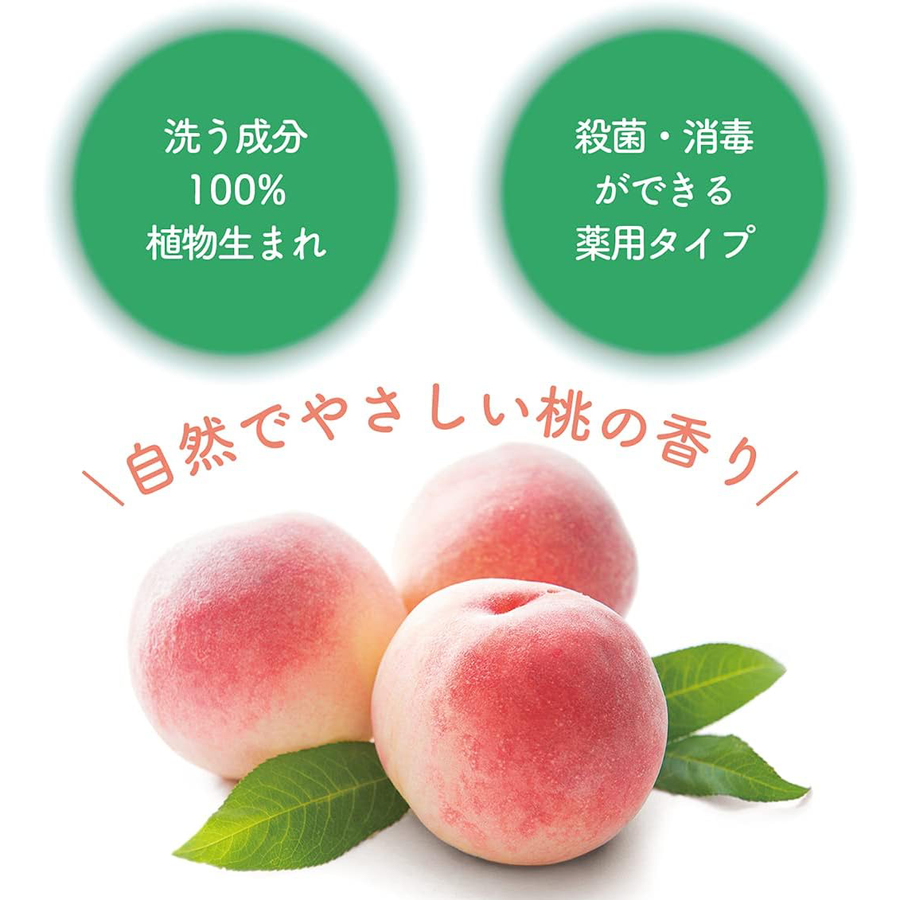 Naive - Sumikko Gurashi Medicinal Botanical Foaming Hand Soap 500ml.