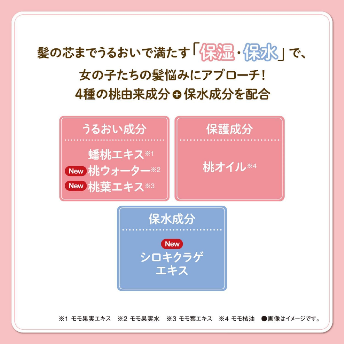 Momori - Hair Keep Brush 10ml.