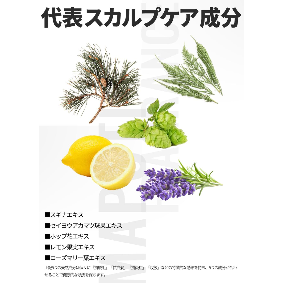 Maputi - Organic Fragrance Sara-Sara Shampoo 350ml.