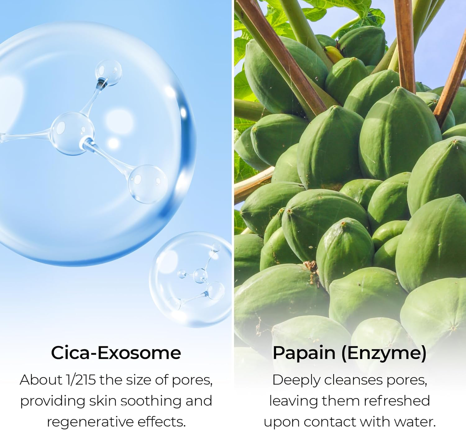 Dr.Melaxin - Exosome Enzyme Cleanser Papaya Powder Wash 50g.