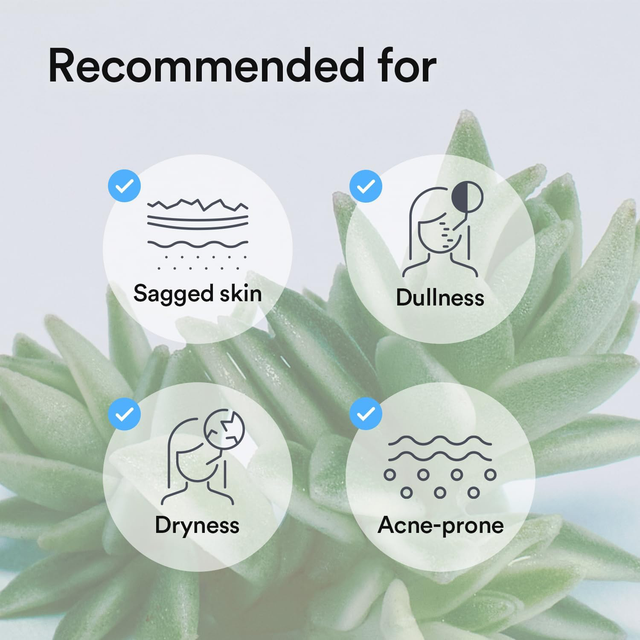 Abib - Collagen Gel Mask Sedum Jelly 27ml. (Pack of 3)