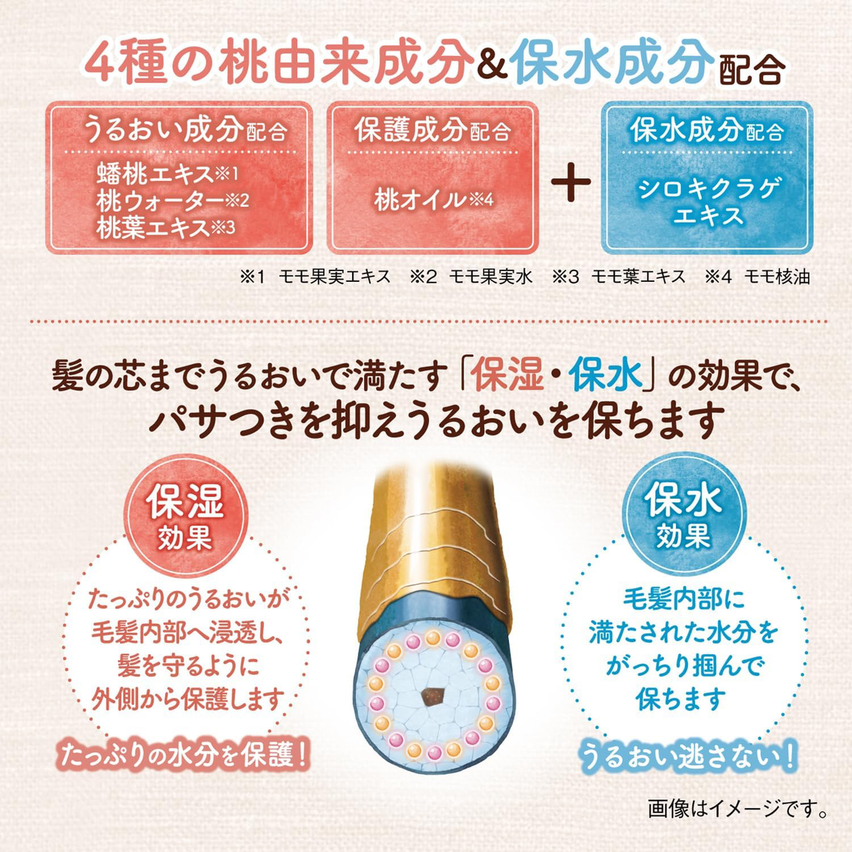 Momori - Hair Oil Serum 55ml.