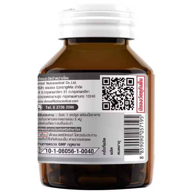 Amsel - Zinc Plus Vitamin Premix (30 capsules)