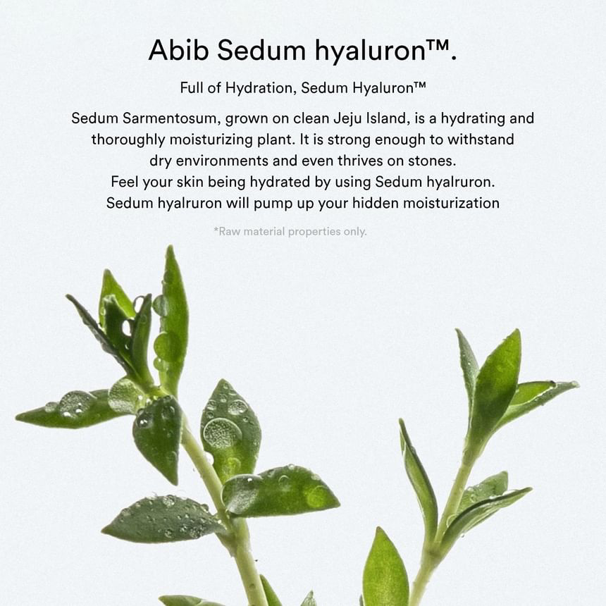 Abib - Sedum Hyaluron Pad Hydrating Touch 165ml. (75 Pads)