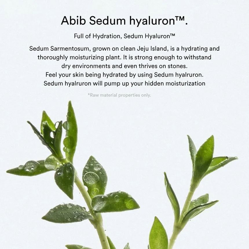 Abib - Sedum Hyaluron Crème Hydrating Pot 80ml.