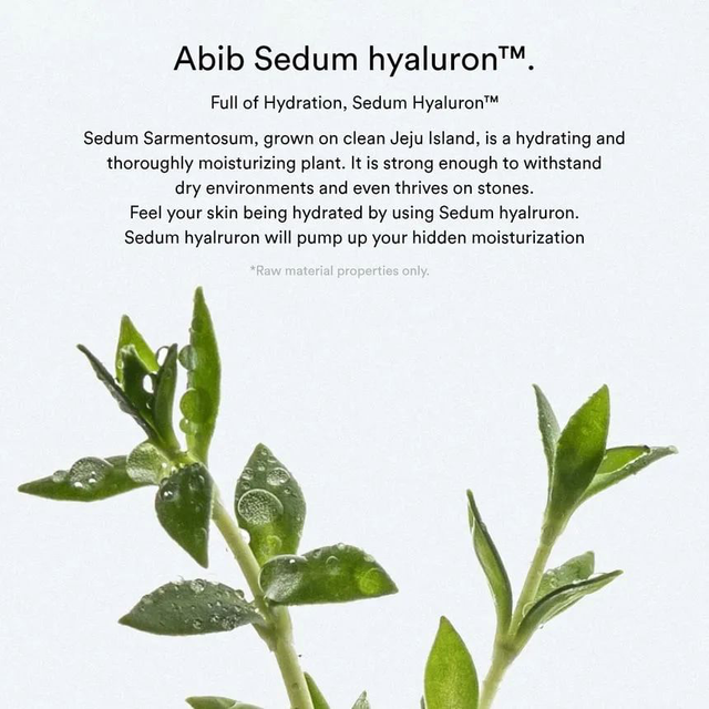 Abib - Sedum Hyaluron Crème Hydrating Pot 80ml.