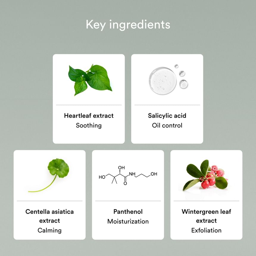 Abib - Acne Foam Cleanser Heartleaf Foam 150ml.