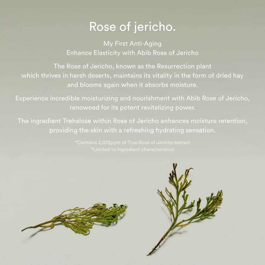 Abib - Jericho Rose Bifida Serum Firming Drop 50ml.