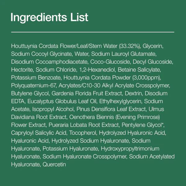 Anua - Heartleaf Quercetinol Pore Deep Cleansing Foam 150ml.