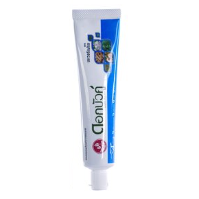 Twin Lotus - Everfresh Toothpaste 150 g. - Made in Thailand