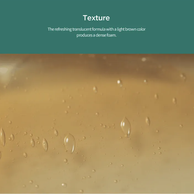 Amorepacific - AYUNCHE - Rebalancing Moisture Shampoo 350g.