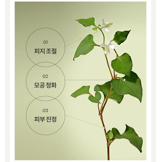 Anua - Heartleaf Pore Clay Pack 100ml.