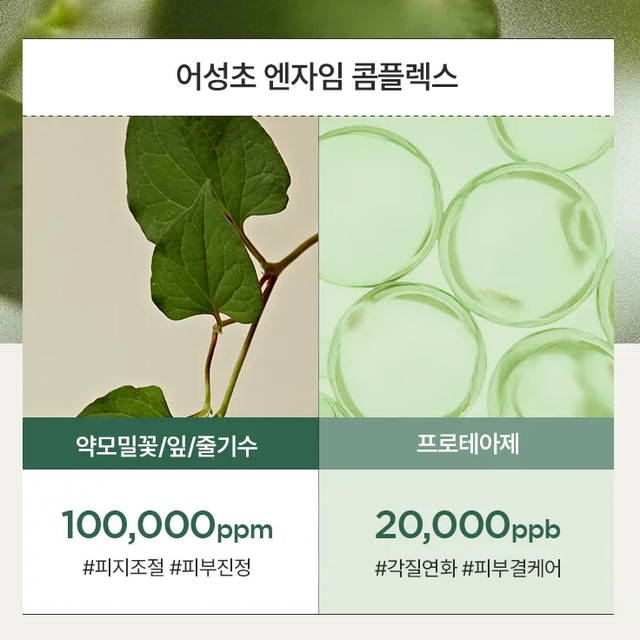 Anua - Heartleaf Pore Clay Pack 100ml.