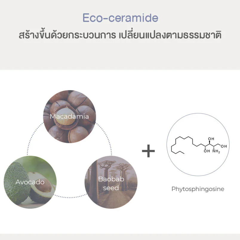 NEEDLY - Crossbarrier Cream 80ml.