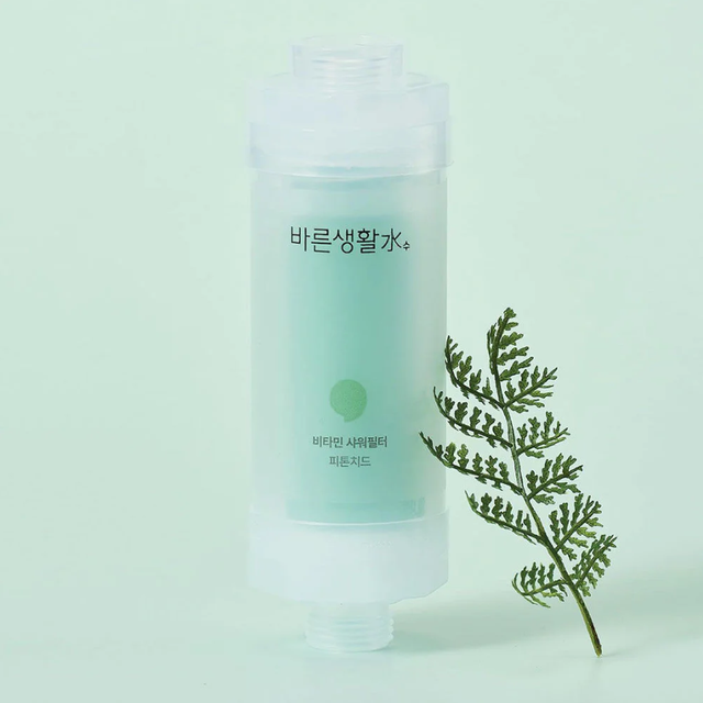 Bareun Soo - Shower Filter Phytoncide 145g.