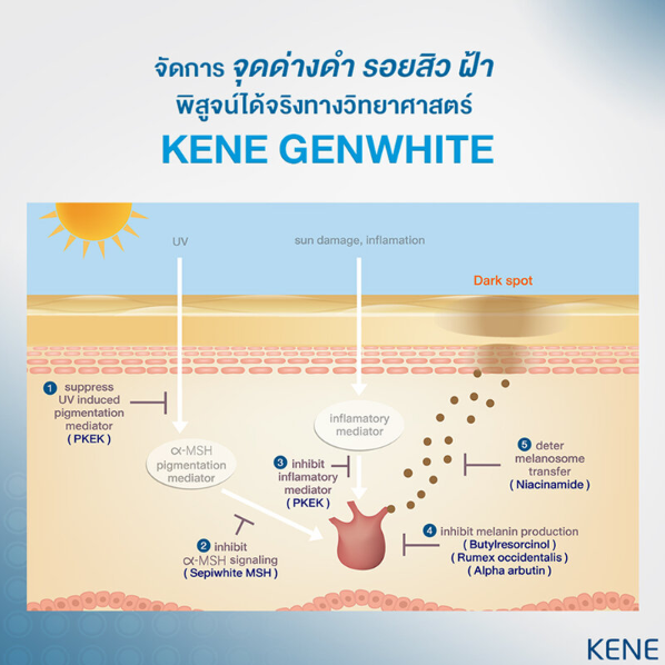 Kene - Genwhite Dark Spot Corrector 30ml.