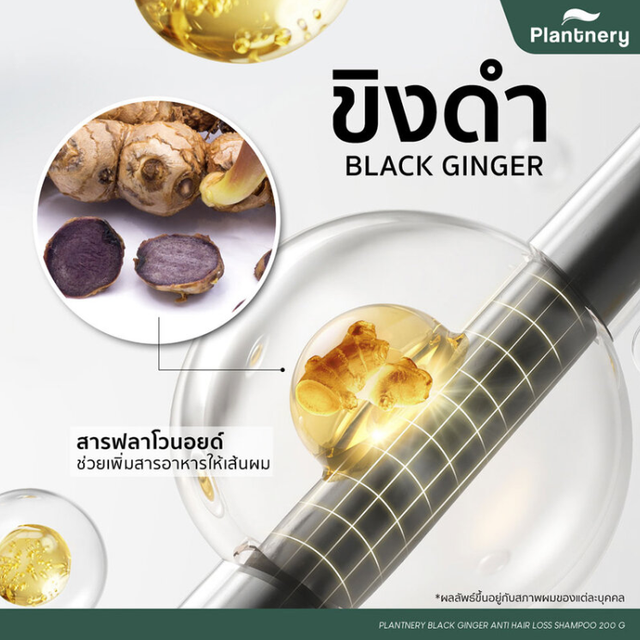 Plantnery - Black Ginger Anti-Hair Loss Intensive Shampoo 200g.