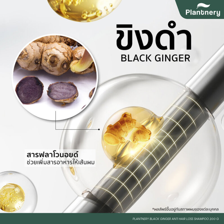 Plantnery - Black Ginger Anti-Hair Loss Intensive Shampoo 200g.