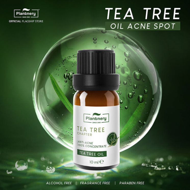 Plantnery - Tea Tree Oil Concentrate 10ml.