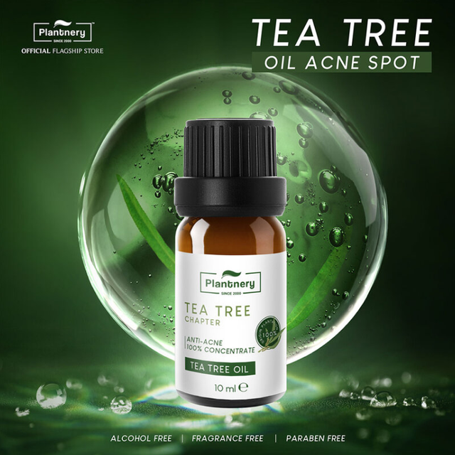 Plantnery - Tea Tree Oil Concentrate 10ml.