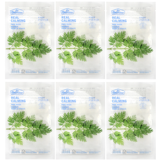 The Face Shop - Dr.Belmeur Real Calming Face Mask Summer Mugwort 24ml. (Pack of 6)