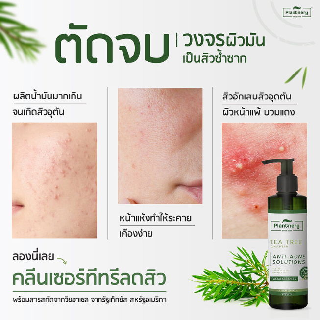 Plantnery - Tea Tree Facial Cleanser 250ml.