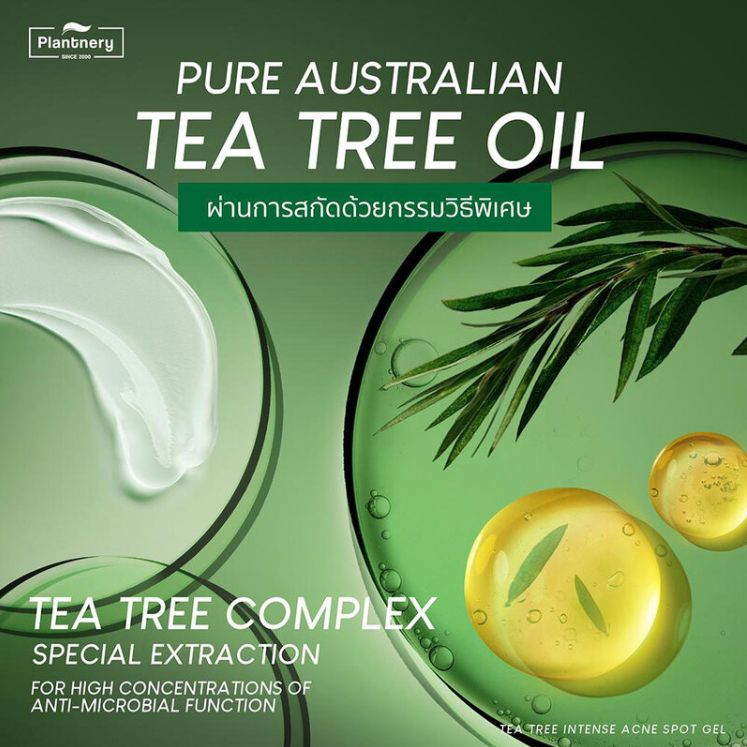 Plantnery - Tea Tree Intense Acne Gel 15g.