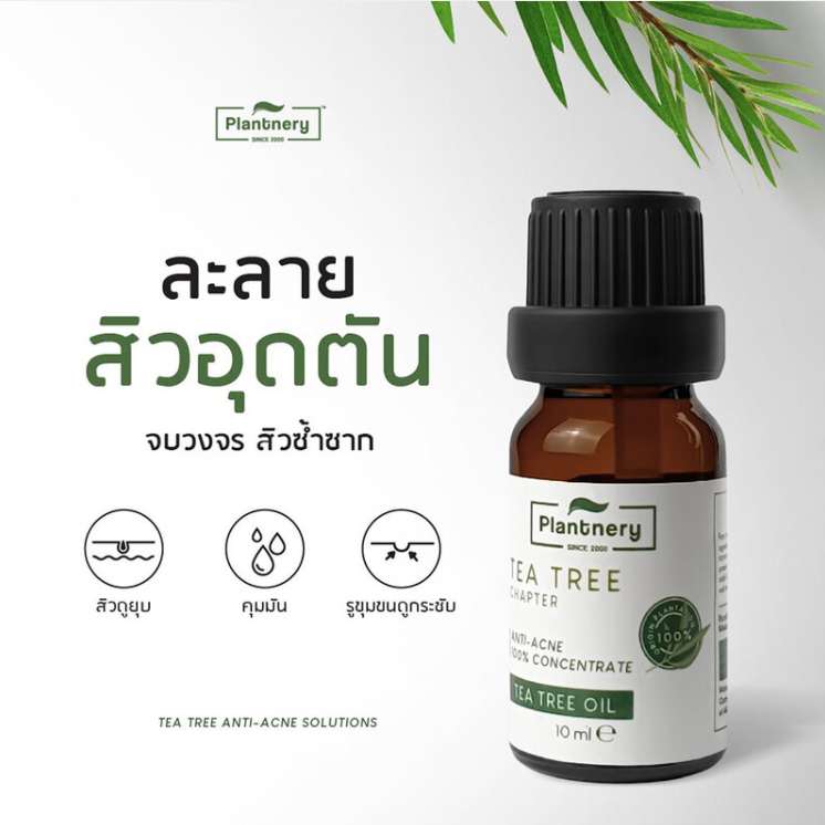 Plantnery - Tea Tree Oil Concentrate 10ml.
