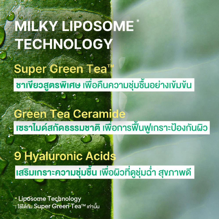 Innisfree - Green Tea Ceramide Milk with Hyaluronic Acid and Ceramide 160ml.