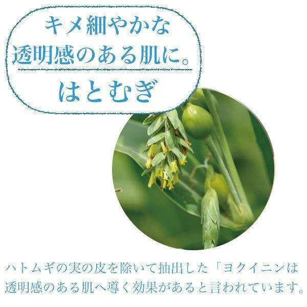 Clear Turn - Bihada-Syokunin Hatomugi Brightening Mask 97ml. (7 Sheets)