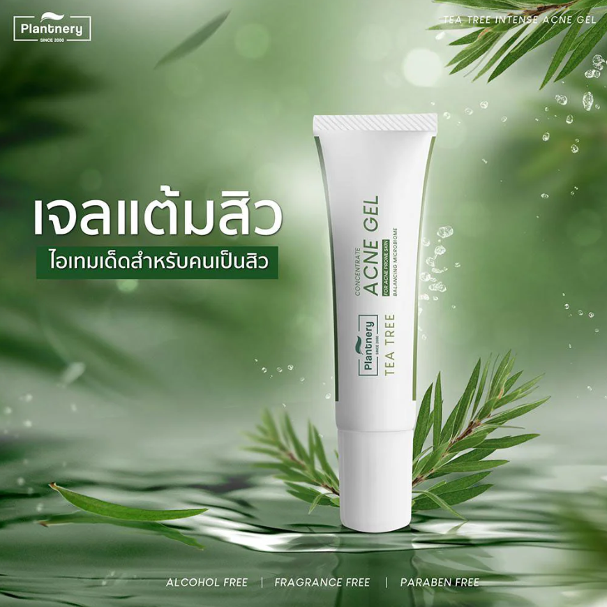 Plantnery - Tea Tree Intense Acne Gel 15g.