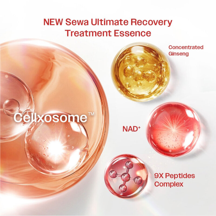 Sewa - Ultimate Recovery Treatment Essence with Concentrated Ginseng, Cellxosome and NAD+ 120ml.