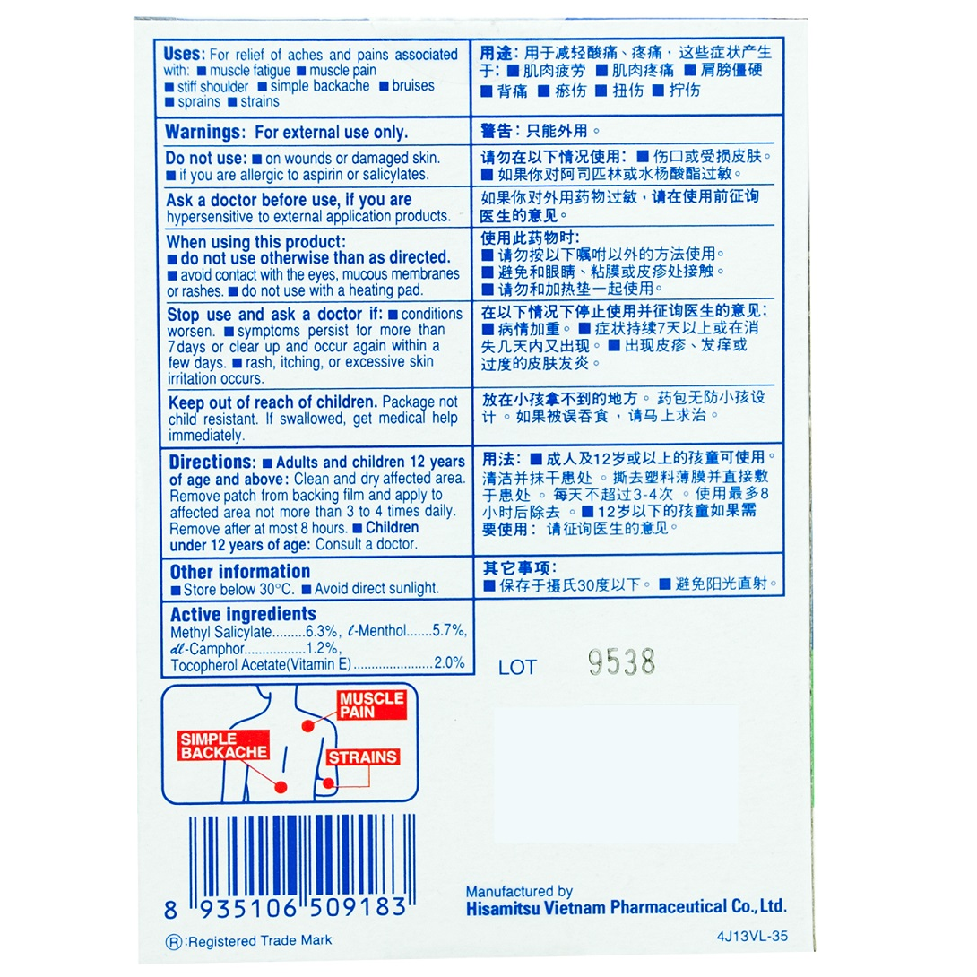 Salonpas - Salonpas Medicated Plaster (10 pcs.)