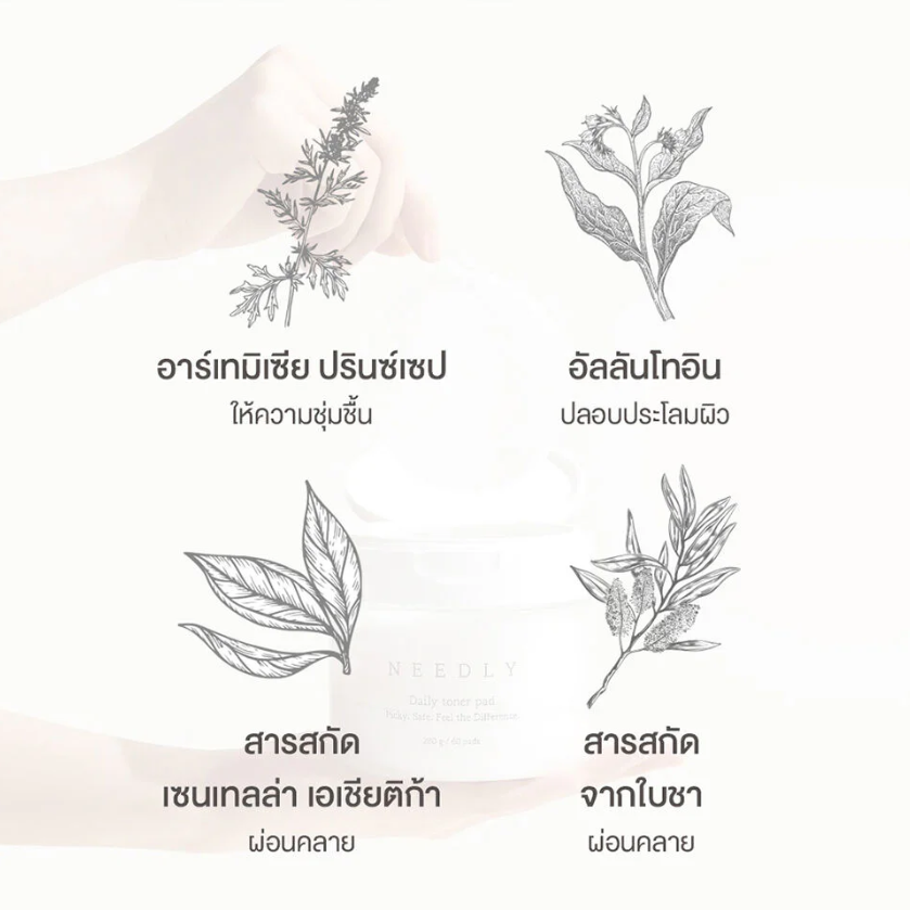 NEEDLY - Daily Toner Pad 310g. (80 Pads)