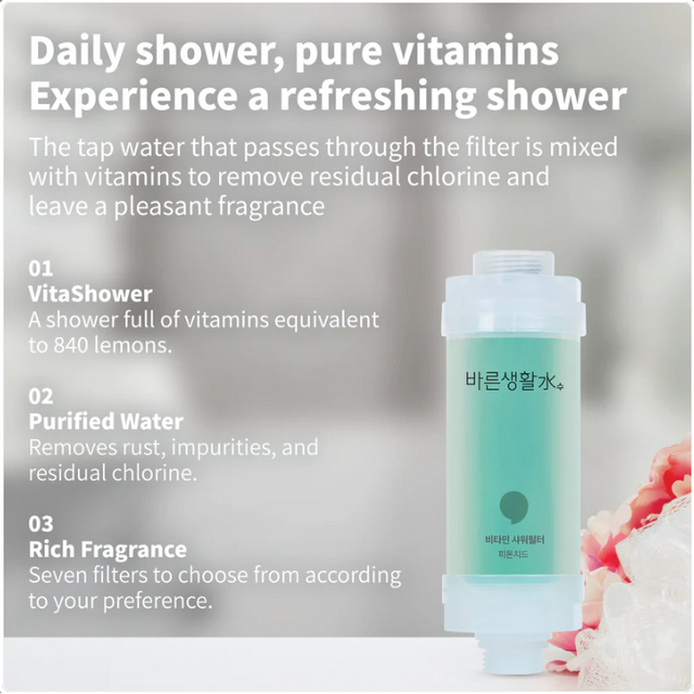 Bareun Soo - Shower Filter Phytoncide 145g.