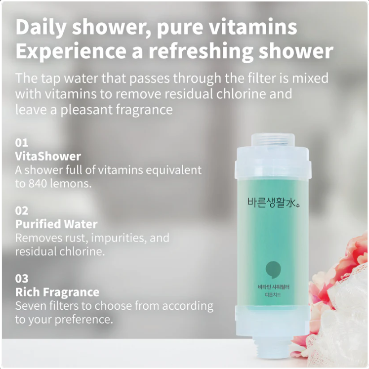 Bareun Soo - Shower Filter Phytoncide 145g.