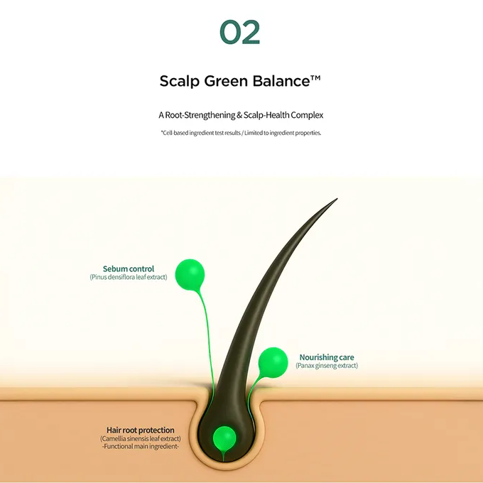 Amorepacific - AYUNCHE - AYUNCHE - Rebalancing Scalp Serum 80ml.