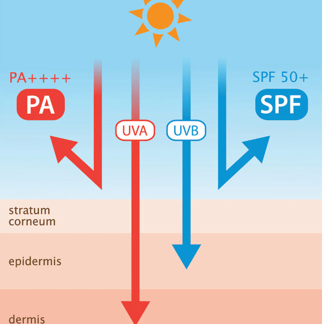 Provamed - Sun Face SPF50/PA++++ White 15g.