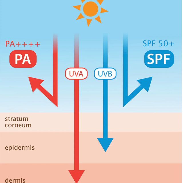 Provamed - Sun Face SPF50/PA++++ White 15g.