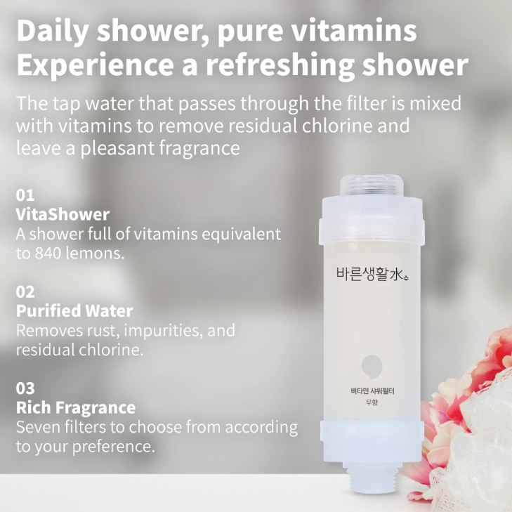Bareun Soo - Shower Filter Segment 145g.