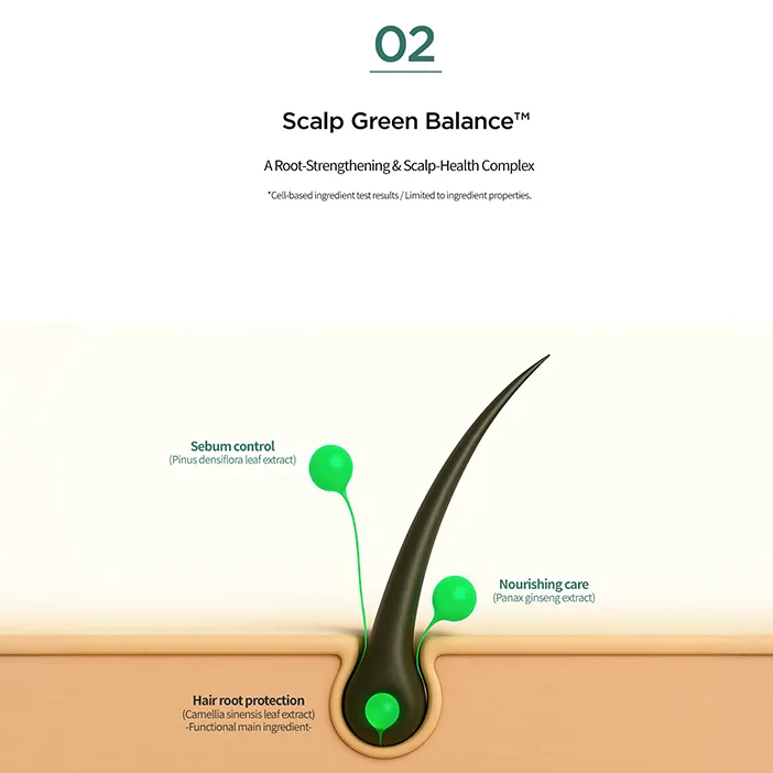 Amorepacific - AYUNCHE - Rebalancing Fresh Shampoo 350g.