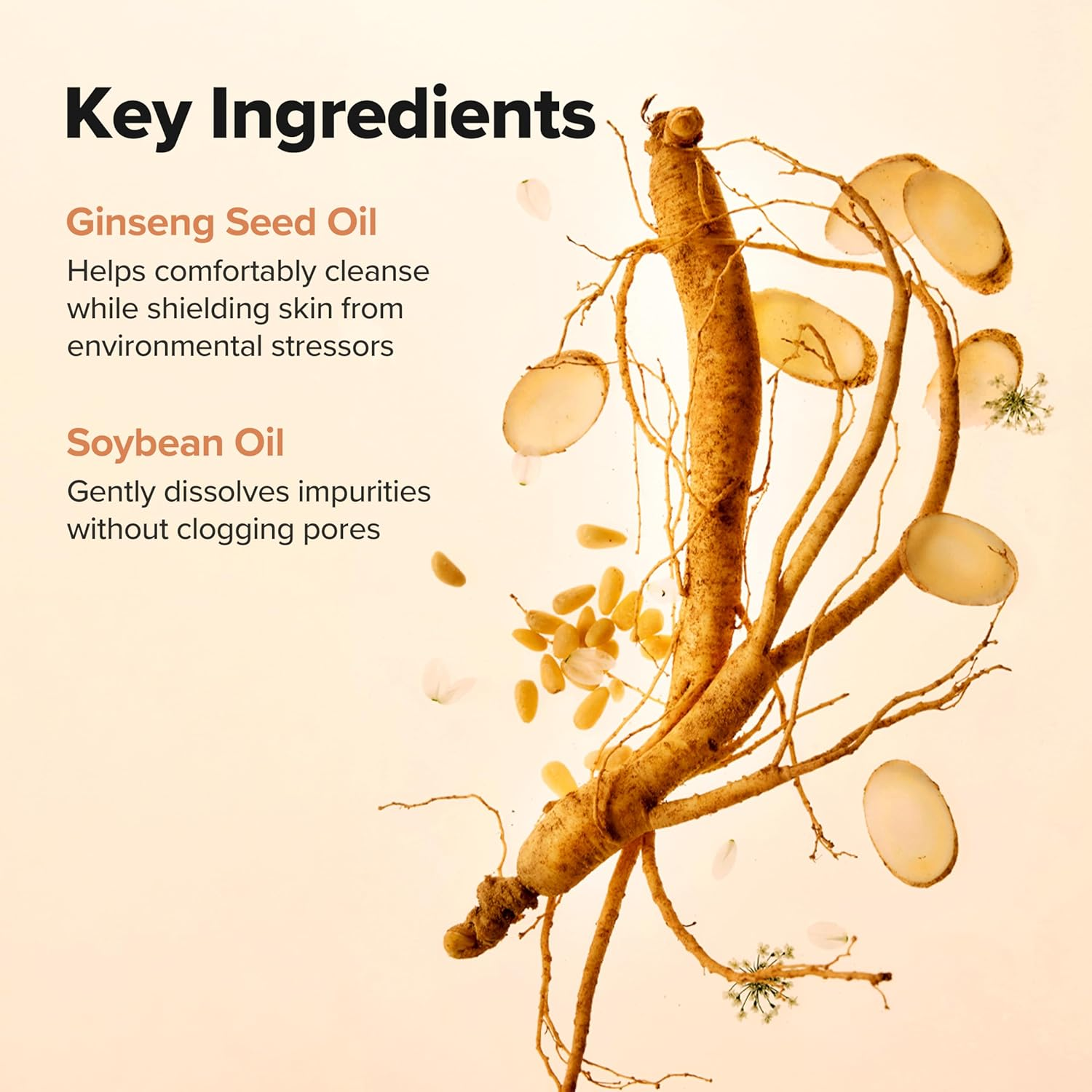 Beauty of Joseon - Ginseng Cleansing Oil 210ml.
